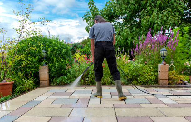 Best Sidewalk and Walkway Cleaning  in Buenaventura Lakes, FL