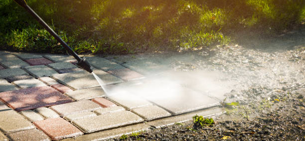 Best Driveway Pressure Washing  in Buenaventura Lakes, FL